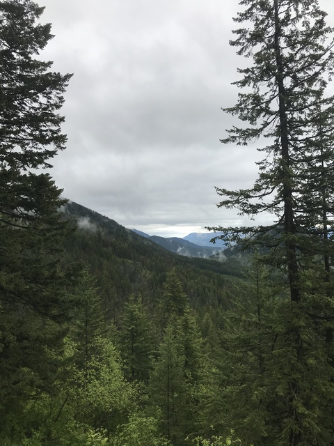 u69765609 header picture leakfans.com