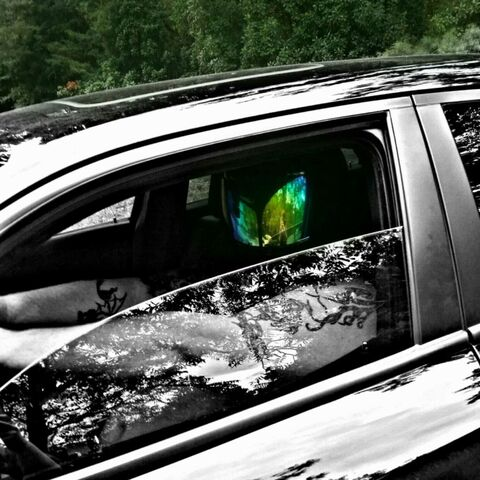 u73986680 header picture leakfans.com