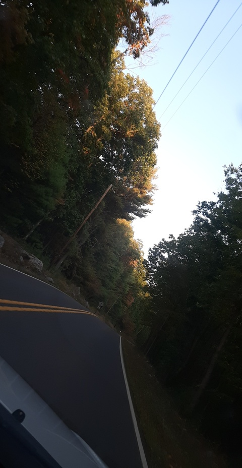 u75299602 header picture leakfans.com