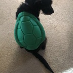 u78988709 profile picture leakfans.com