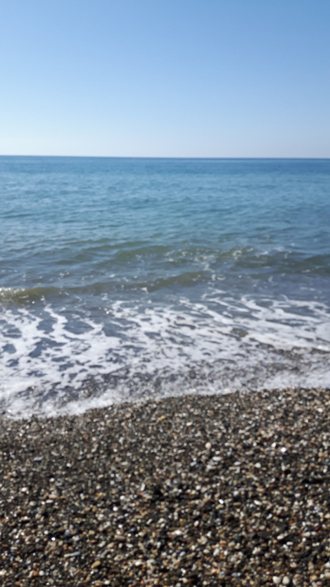 u79610065 header picture leakfans.com