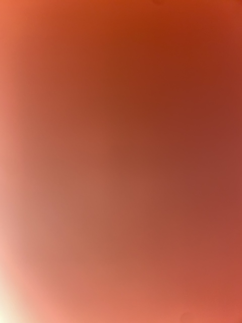 u86697782 header picture leakfans.com