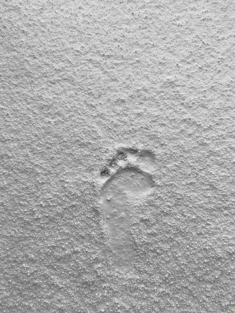 u90081288 header picture leakfans.com