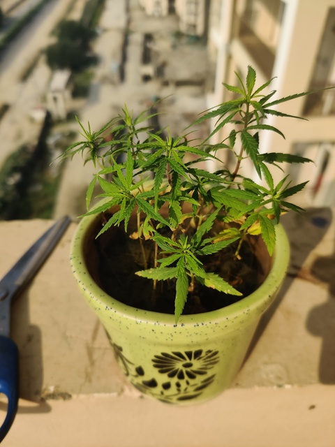 u96972121 header picture leakfans.com