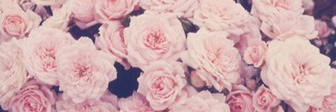 u97029875 header picture leakfans.com