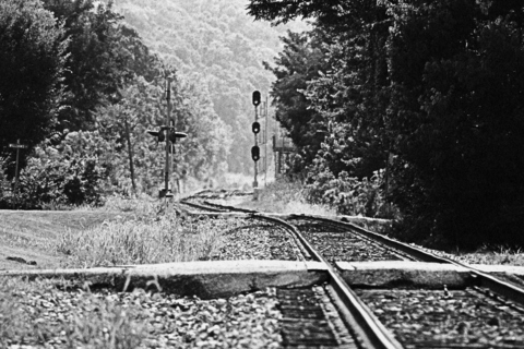 uccats7252 header picture leakfans.com