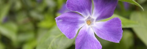 ukgirl header picture leakfans.com