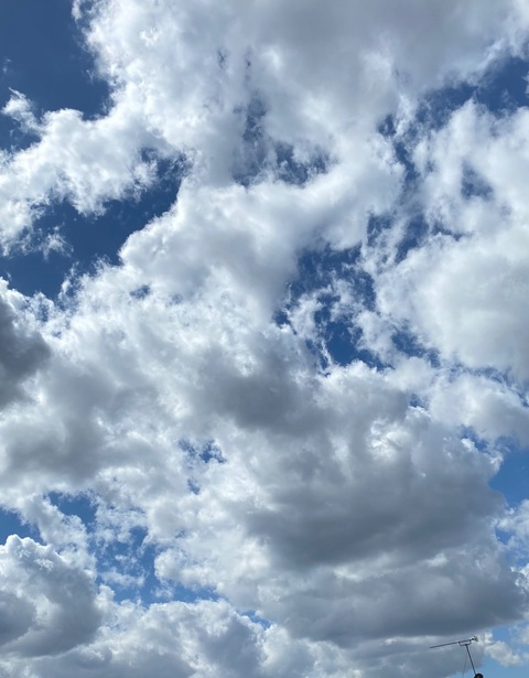 uneedme header picture leakfans.com