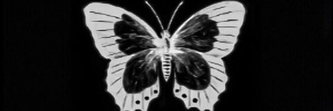 urfavgeminiho header picture leakfans.com