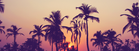 urfavoritesvnonefve header picture leakfans.com