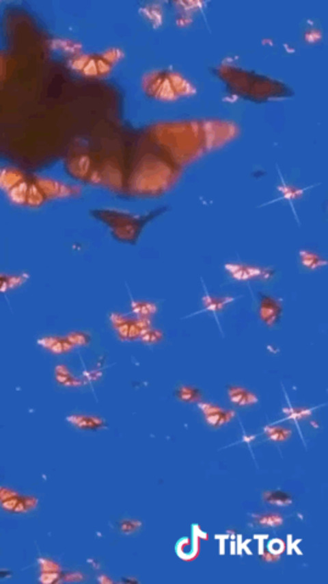 urlocalbfstealer header picture leakfans.com