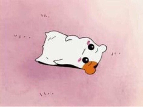 urstonedkitten header picture leakfans.com