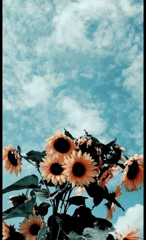 urstrulymarie header picture leakfans.com