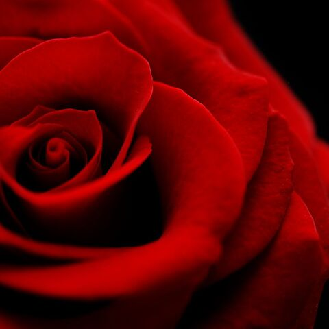 usemyhole header picture leakfans.com