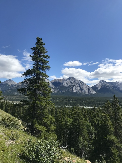 user666999o header picture leakfans.com