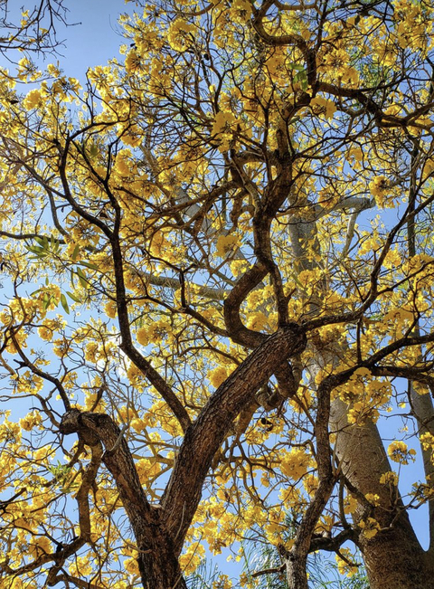 uuxxiiee header picture leakfans.com