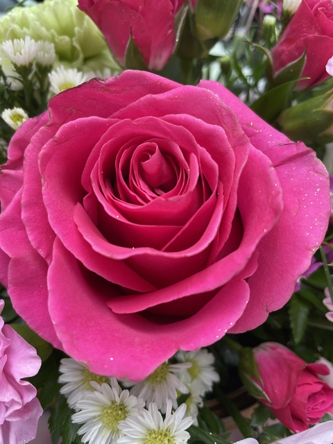 valentina_thevixen header picture leakfans.com