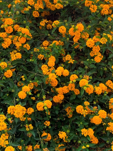 valeriaslutb header picture leakfans.com