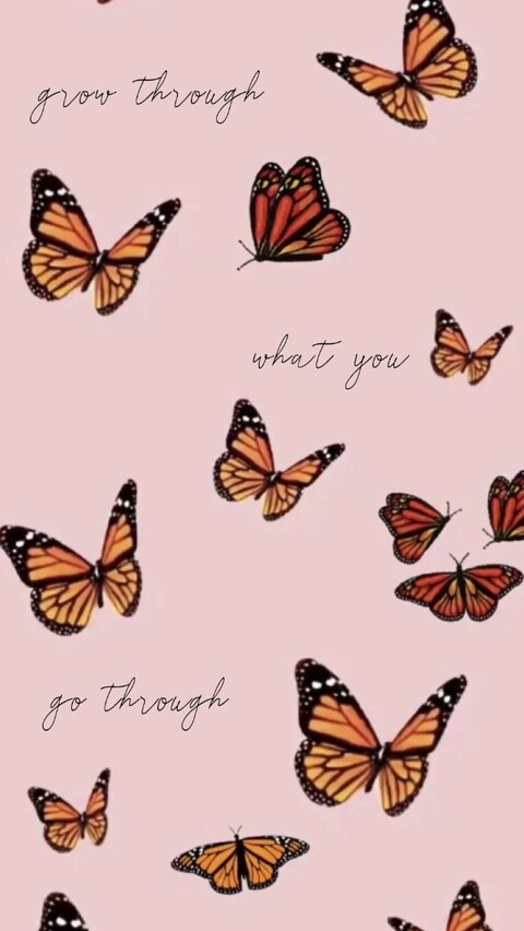 valeriewhite header picture leakfans.com