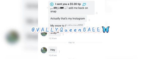 vallyqueenbaee header picture leakfans.com