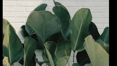 vanessabby_ header picture leakfans.com