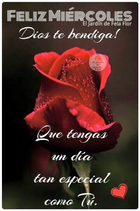 vanessas header picture leakfans.com