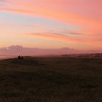 vanestasia profile picture leakfans.com