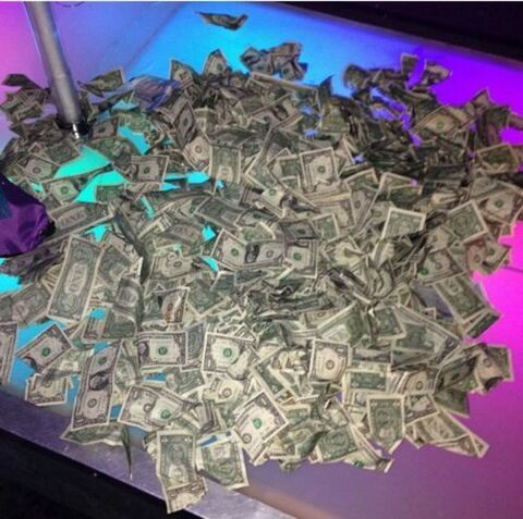 vanillasunshineee header picture leakfans.com