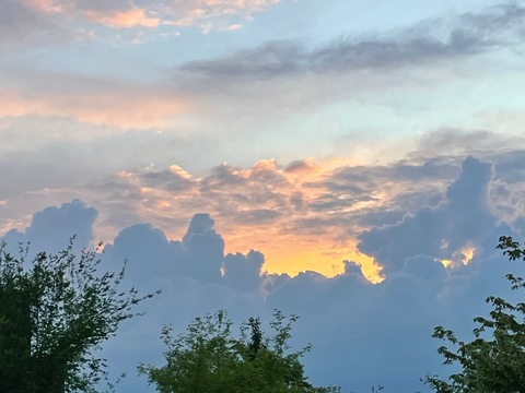 velvetstrap header picture leakfans.com