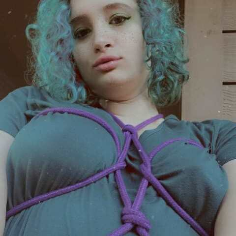 velvetwonderland header picture leakfans.com