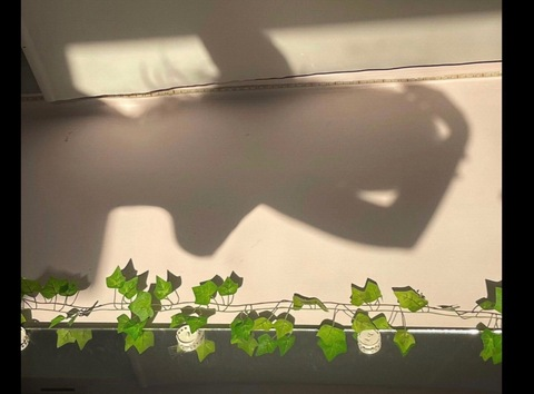 veritybaby1 header picture leakfans.com