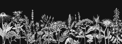 veronica-mari header picture leakfans.com