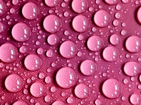 verysexycurves header picture leakfans.com