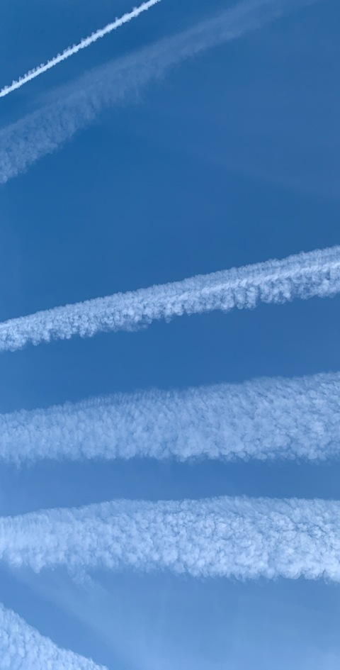 victoriaraeexo header picture leakfans.com