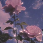 victoriaxo482 profile picture leakfans.com