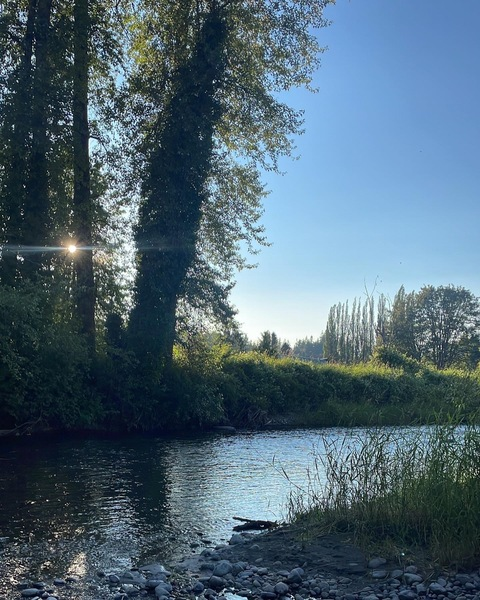 viking.pawg header picture leakfans.com