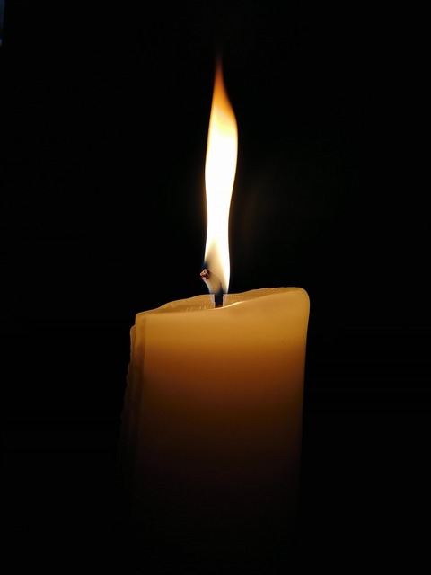 vincesotn header picture leakfans.com