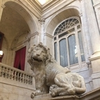 vivant profile picture leakfans.com