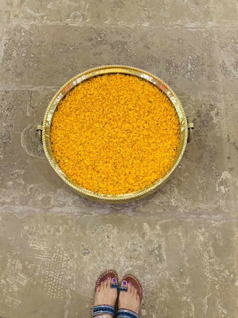 vivashiva header picture leakfans.com