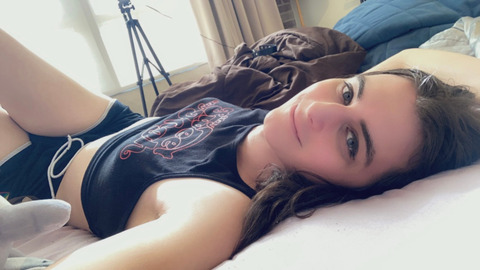 vivitrans header picture leakfans.com