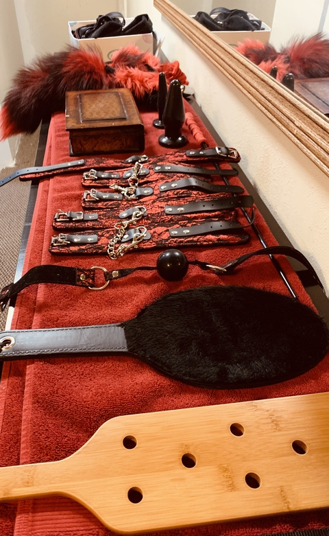 vixensrealm header picture leakfans.com