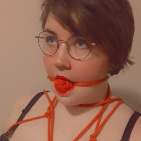 vixxxransom header picture leakfans.com