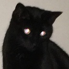 voidqueen profile picture leakfans.com