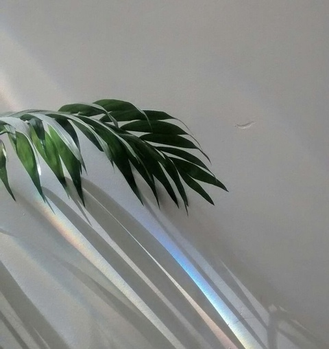 vrgho header picture leakfans.com