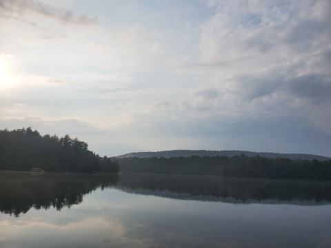 w_a_16 header picture leakfans.com