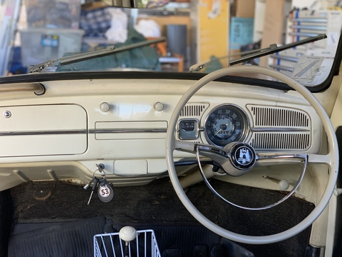 warriormeerkat header picture leakfans.com