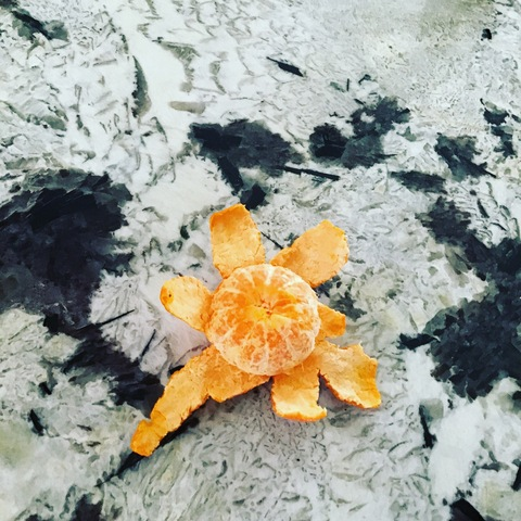 wasabibarbie header picture leakfans.com