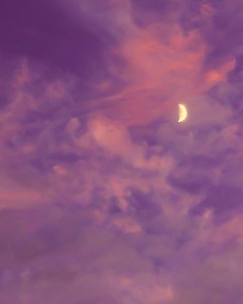 wavybabey header picture leakfans.com