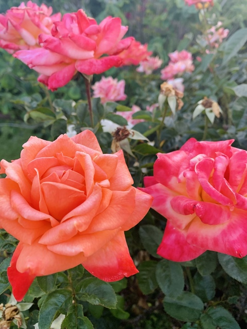 way2sexi header picture leakfans.com