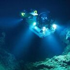 wc87_rod profile picture leakfans.com